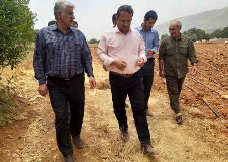 بازدید فرماندار چرام از روند پروژه های عمرانی در منطقه طسوج و توزیع خدمات مورد نیاز عشایر