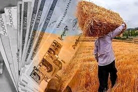 پرداخت ۹۹ درصد مطالبات کشاورزان کهگیلویه و بویراحمد