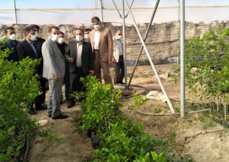بخش کشاورزی کهگیلویه و بویراحمد توسعه یابد/ لزوم حمایت از تولیدکنندگان محصولات گلخانه‌ای
