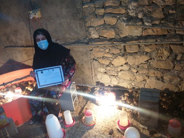 صدور مجوز کمتر از نصف روز/نگاه ویژه اداره کل تعاون،کار و رفاه اجتماعی به شهرستان کهگیلویه