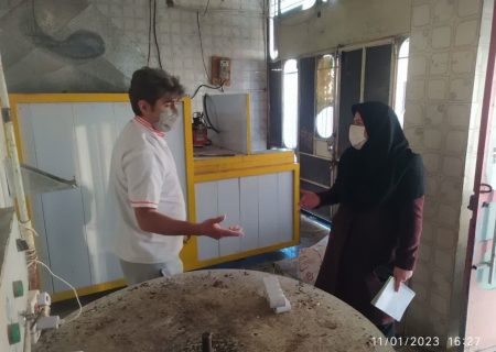 جهاد کشاورزی در روز تعطیل هم تعطیل نیست/گشت‌های بازرسی از بازار و عرضه گوشت قرمز دولتی