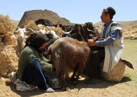 واگذاری ۲۰۹ دستگاه پنل خورشیدی به عشایر کوچ رو/توزیع نفت سفید