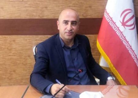 محمد کریم آریا به عنوان معاون سازمان بهزیستی کشور منصوب شد