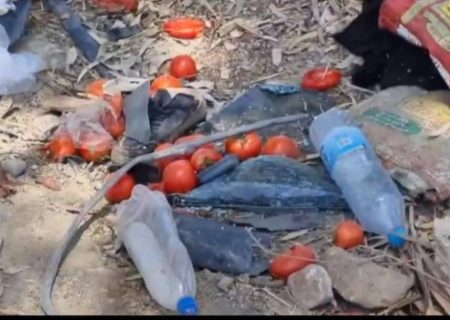 جاده‌های مرگ کهگیلویه و بویراحمد، بلای جان جوانان/بس است !دیگر بس است؟