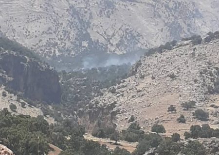 بخشی از طبیعت کوه سیاه چاروسا دچار آتش سوزی شد