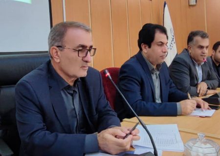 تاکید استاندار کهگیلویه و بویراحمد بر رفع مشکلات طرح نهضت ملی مسکن