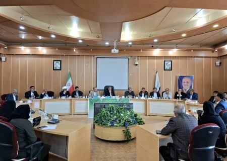 توزیع کالابرگ نشان دهنده توجه دولت وفاق ملی به معیشت مردم است