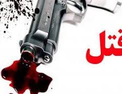 شناسایی و دستگیری عوامل دخیل در قتل فرشاد منطقی در دهدشت