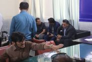 دیدار مردمی فرماندار کهگیلویه: گامی در مسیر اعتماد و حل دغدغه‌ها