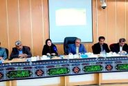 دستگاه‌های اجرایی تضمین کننده الزامات و اصول استاندارد باشند