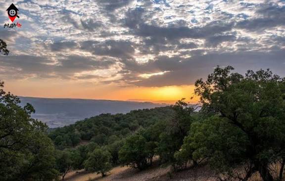 بلاتکلیفی به پایان رسید؛ پارک جنگلی یاسوج در آستانه تحول و بازآفرینی