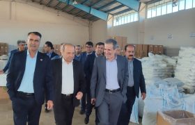 حضور معاون وزير صمت در شهرك صنعتي ياسوج ۳ و بازديد از واحدهاي توليدي/ پيگيري توسعه زيرساختهاي صنعتي و مشكلات بخش توليد