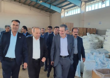 حضور معاون وزير صمت در شهرك صنعتي ياسوج ۳ و بازديد از واحدهاي توليدي/ پيگيري توسعه زيرساختهاي صنعتي و مشكلات بخش توليد